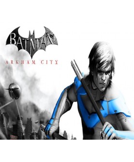 Batman: Arkham City - Nightwing Bundle DLC Gift Steam Key GLOBAL